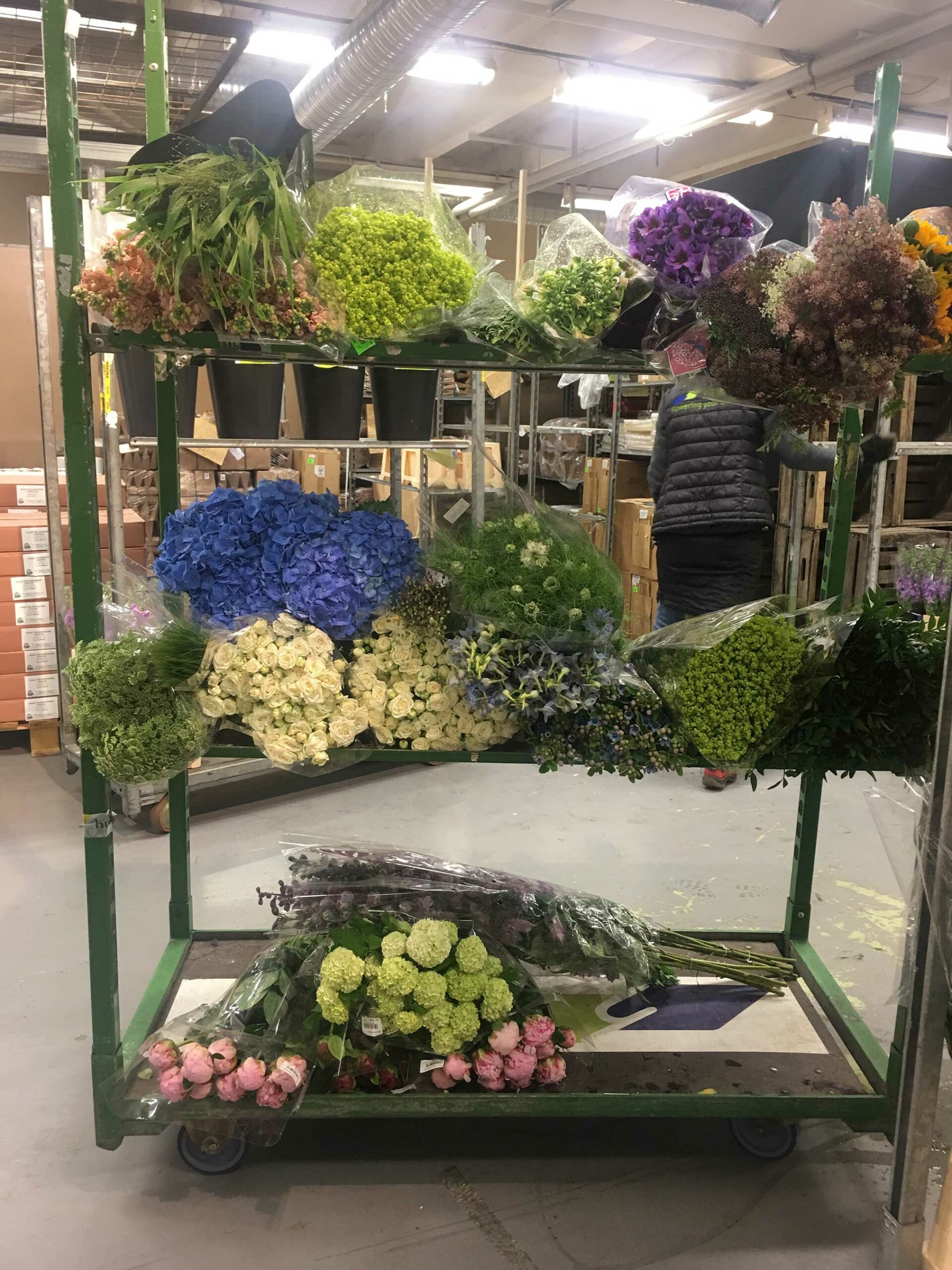 Årstapartihaller blommor inköp